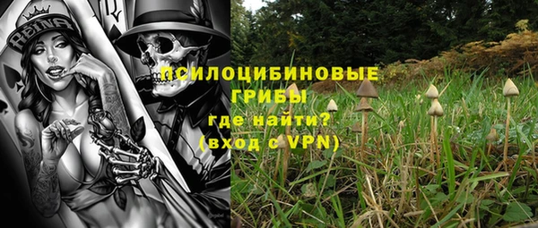 ПСИЛОЦИБИНОВЫЕ ГРИБЫ Алзамай