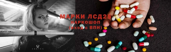 ПСИЛОЦИБИНОВЫЕ ГРИБЫ Алзамай