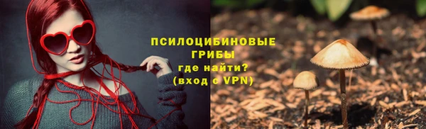 прущие грибы Алексин