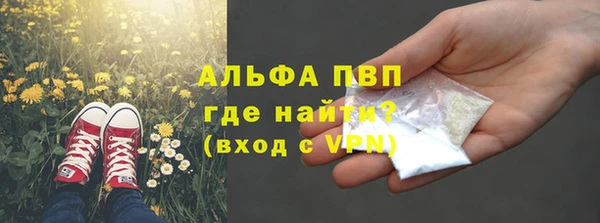 прущие грибы Алексин