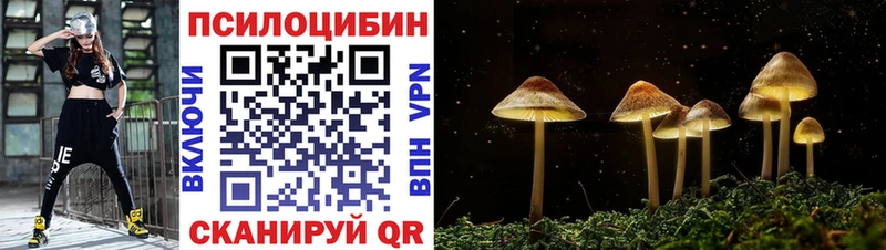 kraken   наркотики  Анива  Галлюциногенные грибы GOLDEN TEACHER 